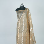 Dark Tussar - Pure Organza Banarasi Saree with Banarasi Half Laheria in gold and silver