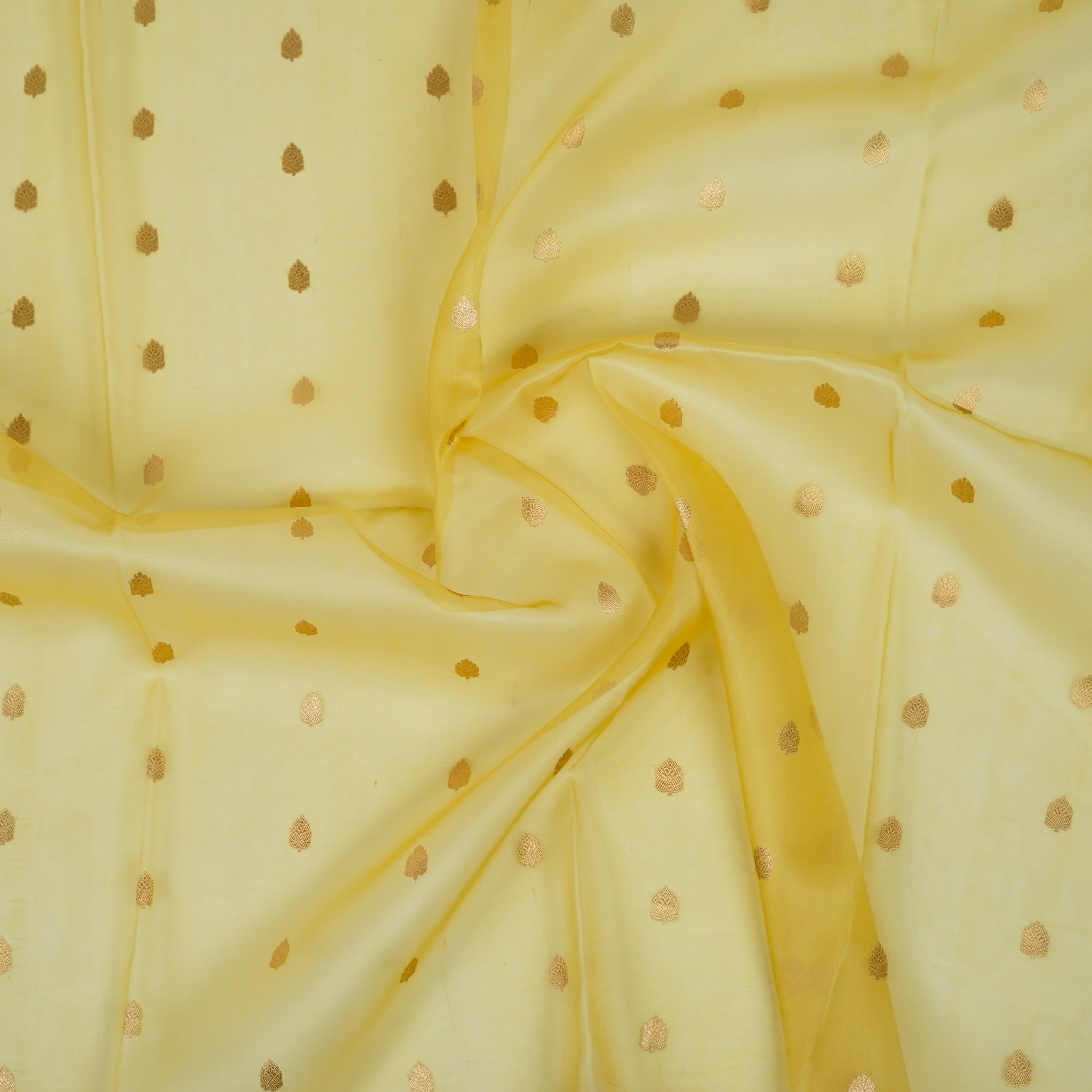 Golden Yellow - Pure Organza Banarasi Saree with light Golden Zari Booti