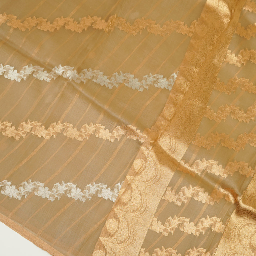 Dark Tussar - Pure Organza Banarasi Saree with Banarasi Half Laheria in gold and silver