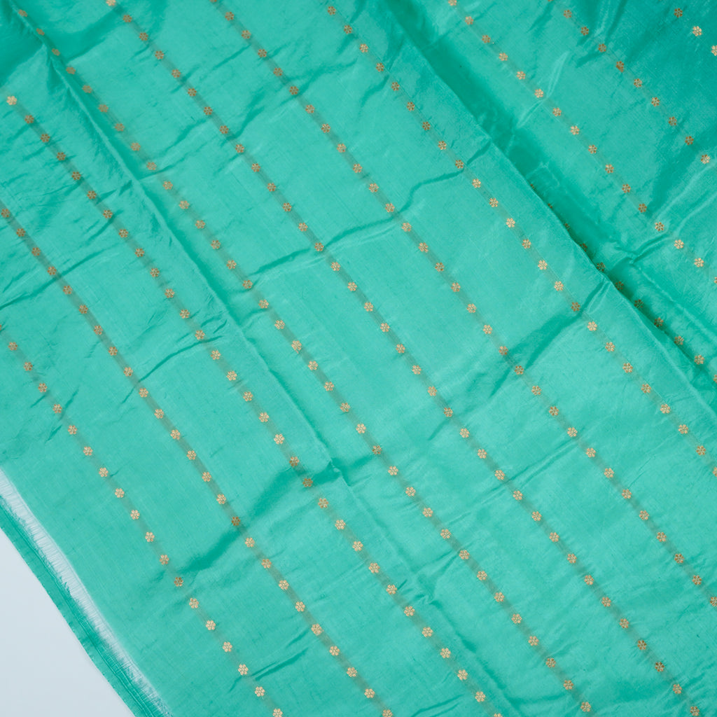 Sea Green - Pure Raw Mango Banarasi Saree with Silver Zari and Skirt Border Design