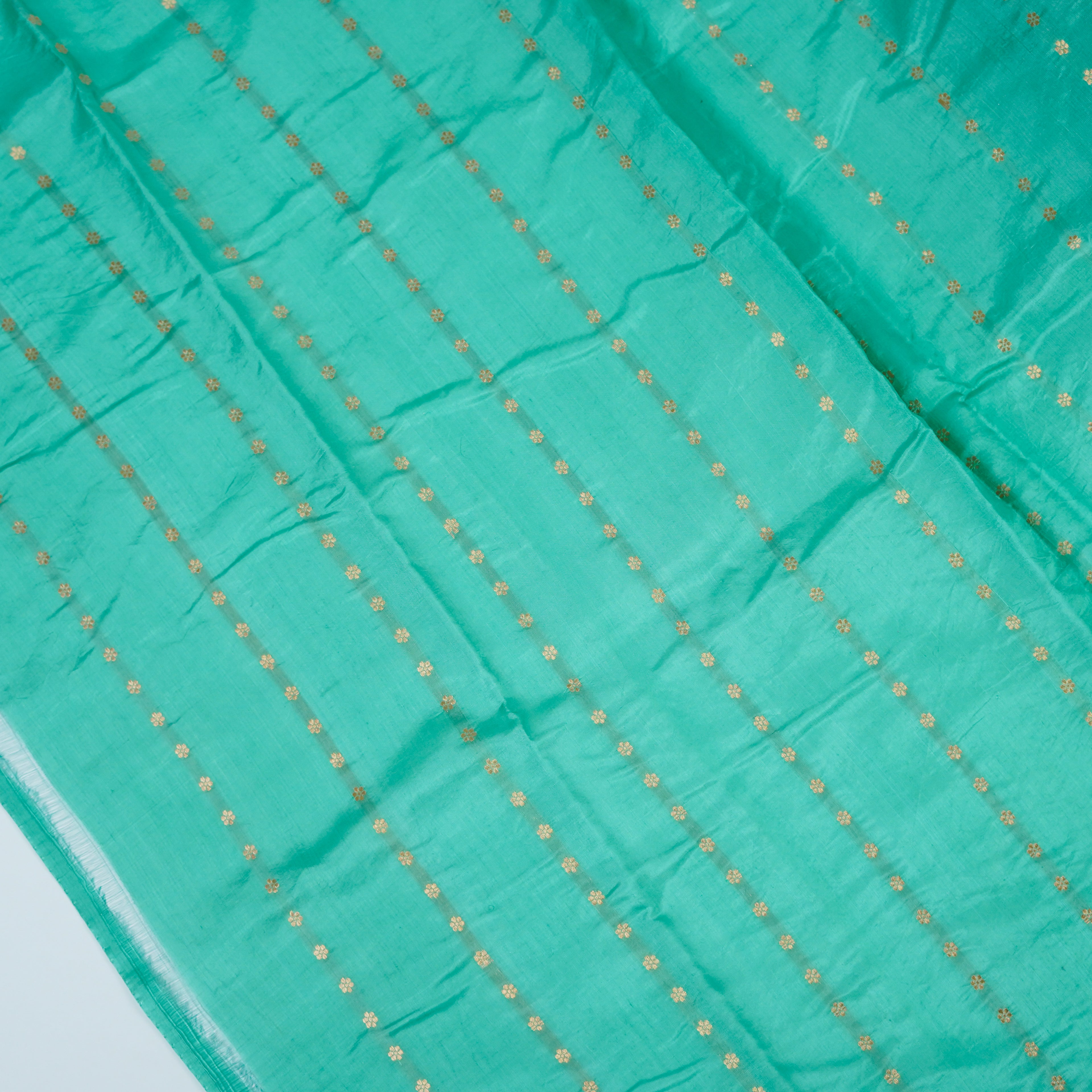 Sea Green - Pure Raw Mango Banarasi Saree with Silver Zari and Skirt Border Design
