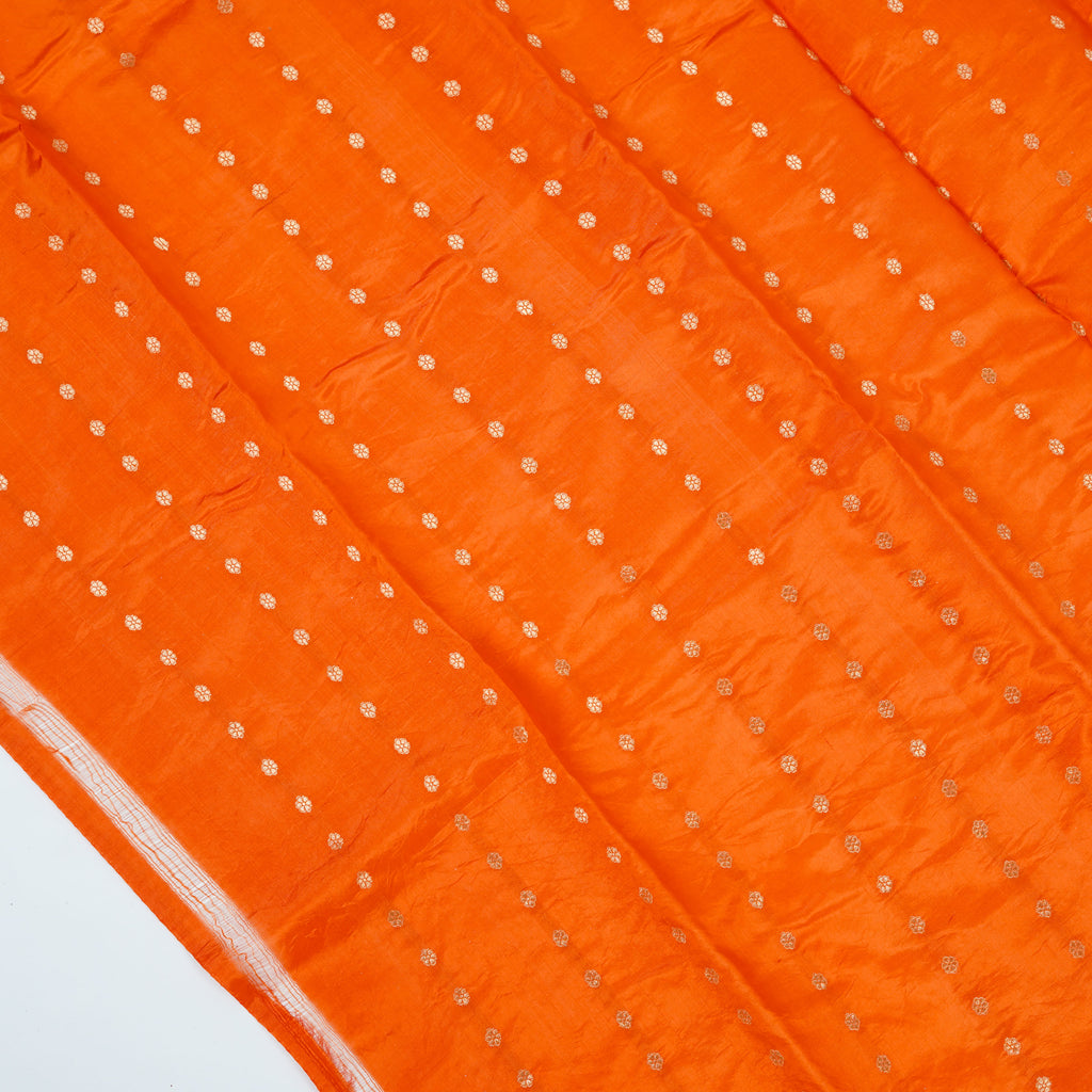 Reddish Orange - Pure Raw Mango Banarasi Saree with Silver Zari and Skirt Border Design