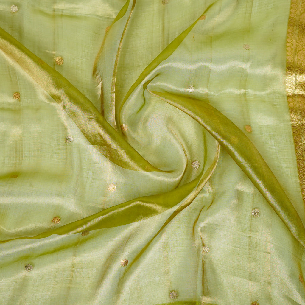 Teal Green Banarasi Handloom Luxury Suit set contrast with Deep Dhani Green color.