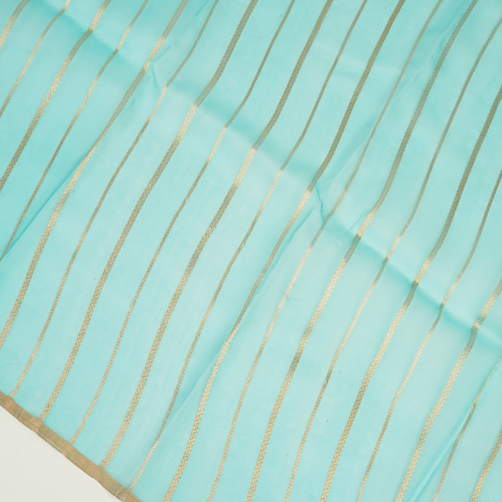 Sky Blue - Pure Organza Banarasi Saree with Banarasi Half Laheria in gold and silver
