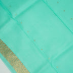 Sea Green - Pure Organza Banarasi Saree with Satin Border containing Alfi Golden Boota