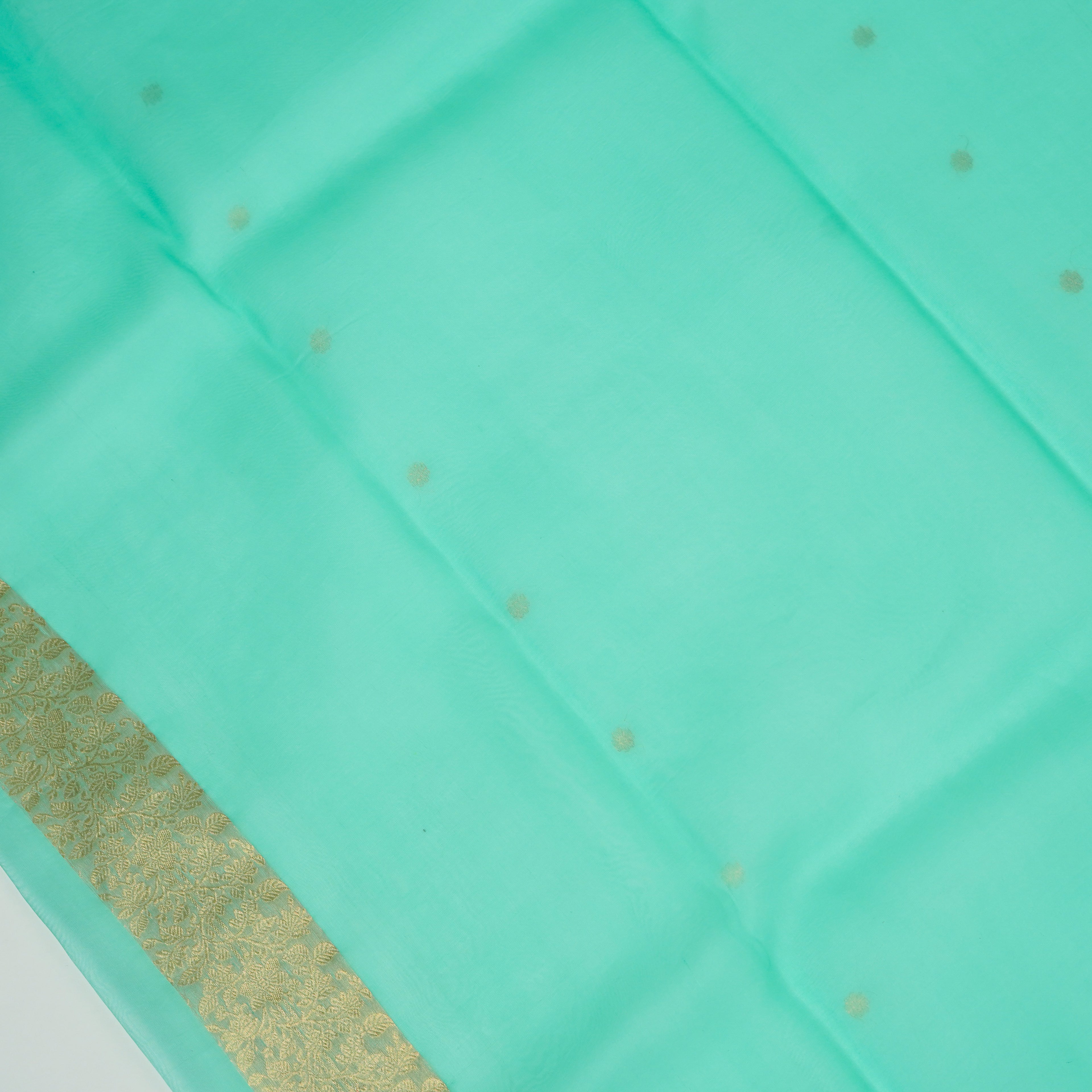 Sea Green - Pure Organza Banarasi Saree with Satin Border containing Alfi Golden Boota