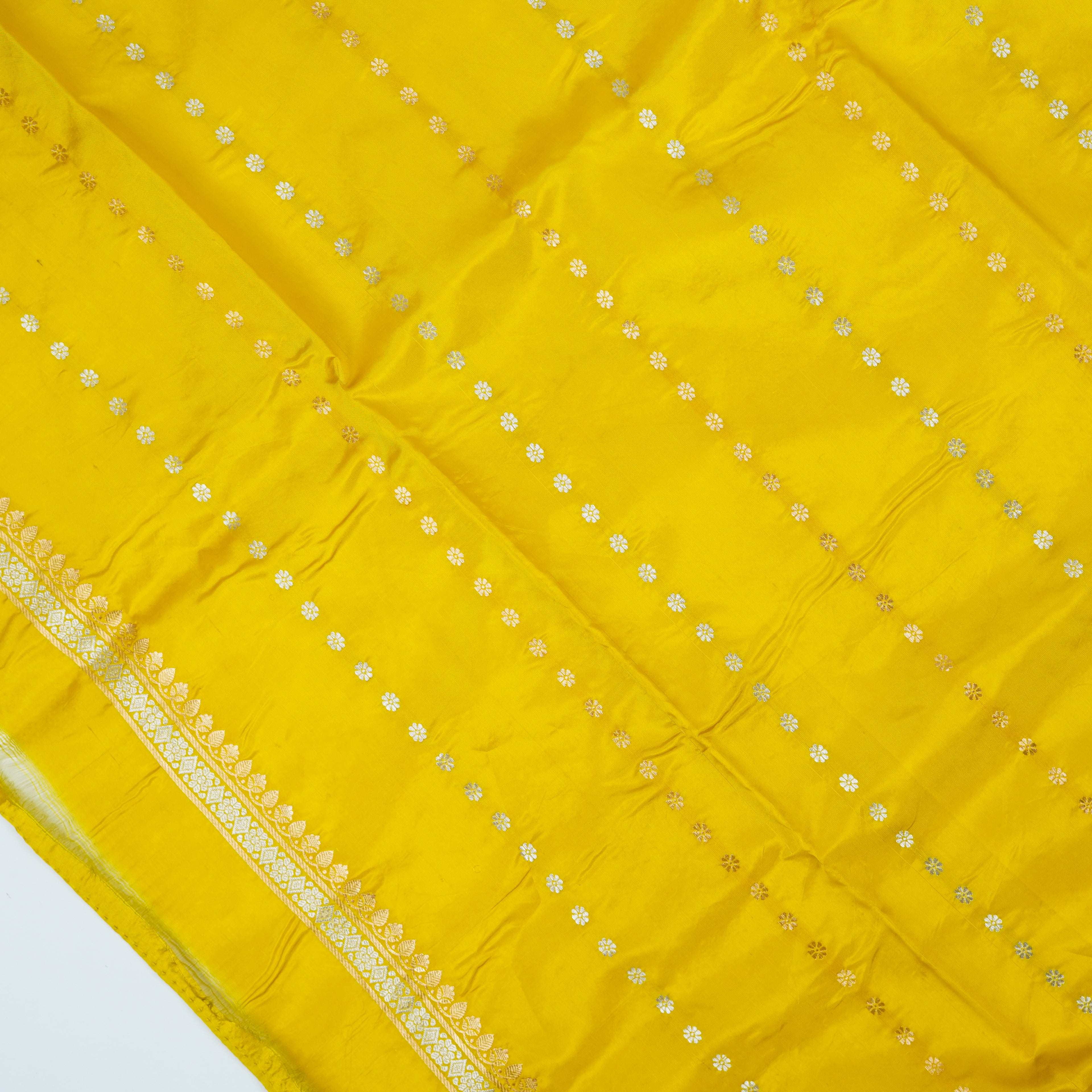Mustard Yellow - Pure Raw Mango Banarasi Saree with Parallel Ara Jaal in Golden and Silver Zari